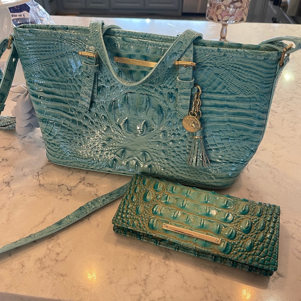 Brahmin Handbag and Wallet.